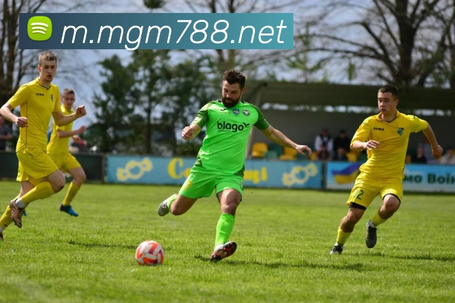 美高梅mgm平台生态图